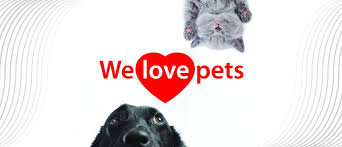 We house cats from our local shelters and once a month hold adoption events for dog lovers. Pet First Aid Course Christchurch Eventfinda