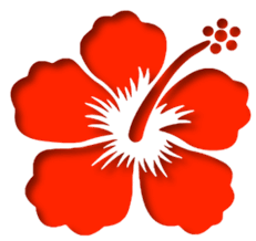 Bunga raya island resort reviews, pulau gaya. Yayasan Bunga Raya Home Facebook