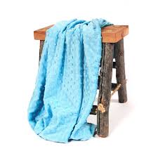 Light Blue Minky Blanket Backdrop Express