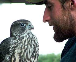 Alaska Reflections, Volume 18, Number 1 â•fi Spring 2006