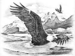 Pencil Bird In Flight Drawing Flying Eagle Sketch Google Search Eagle Drawing Eagle Sketch Eagles