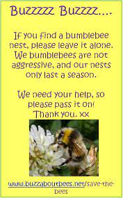 How to get rid of bumble bees underground with citronella candles. Will Bumblebees Cause Damage In My Roof