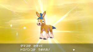 憂うつなシナジー on X: 色違いのドロバンコが産まれました！エースバーンが暴れる今の環境にぴったりなので活躍してほしい。バンバドロはアローラ地方で好きなポケモンの１匹、旅パにもいれてました。あの時の子はチョコに因んだアダ名にしましたが、この子はカレーかな  ...