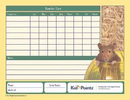 Kids Pet Care Charts Caring For A Hamster Kid Pointz