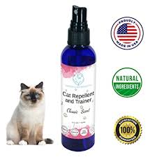 From homemade cat repellent to infrared cat deterrent, this article consists of some of the best cat deterrent options for every cat owner or a gardener. Harbors Cat Repellent And Trainer Cat Repellent Spray Indoor Cat Training Spray Cat Repellent