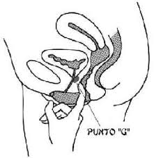 Vania rossa | dinda rachmawati. Dimana Point L Pria Bergaya