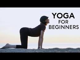 We did not find results for: Fightmaster Yoga Youtube Yoga For Beginners Yoga Yoga Youtube