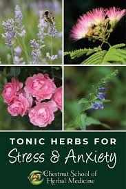 John's wort can be used to help ward off depression related to grief. Tonic Herbs For Stress And Anxiety Chestnut School Of Herbal Medicine