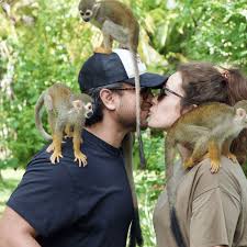 Monkey House VIP – Exclusive Experience in Punta Cana - 2026 (Verified  Reviews)