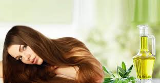 الزيوت المفيدة للشعر المصبوغ هذه المنتجات تحتفظ على صحة شعرك مدينة الرياض