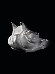 Strongest, most brilliant white available to artists in the entire history of art. Dear Marten Titanium White Vs Mixing White Royal Talens North America
