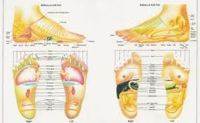 Heres A Very Detailed Explanation Of The Reflexology Chart