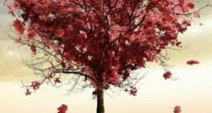 خلفيات ايفون 7 رمزيات iphone 7 plus wallpapers tecnologis iphone wallpaper wallpaper downloads wallpaper