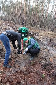 Найактуальніші новини 1+1 онлайн, політики, економіки, стилю та спорту на tsn.ua Tsn Kanalu 1 1 Teper Maye Svij Lis Na Zhitomirshini