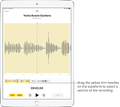 Voice memos are basically small voice recordings that you can make on your phone quickly and easily. Edit Or Delete A Recording In Voice Memos On Ipad Apple Podrska