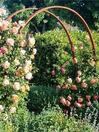 gracie modern arbor with roses shade garden kew gardens meteor garden 2018