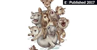 La Ciencia Detras Del Llanto De Un Bebe The New York Times