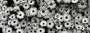 Download black and white professionally made facebook cover photo for free. 35 Hd Black White Facebook Covers