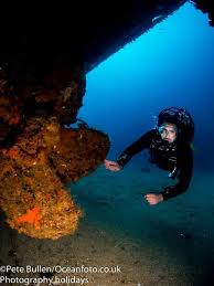 Diving Gozo Colours Of Gozo With St Andrews Divers Cove