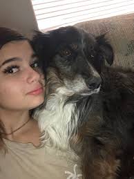 Here is Angel, one of my two Aussies, rescued from a puppy mill and the  best dog ever. She is two years old and a mini.