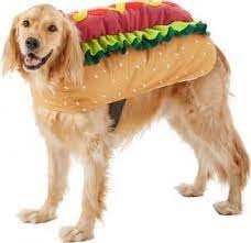Sausage Dog Bun Outfit New Daily Offers Rudrakshalliancedevelopers Com