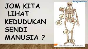 Selain dapat membuat tulang bergerak secara leluasa, persendian juga dapat berfungsi untuk mempertahankan kestabilan tubuh. Sains Tahun 5 S Kenali Tulang Dan Kedudukan Sendi Serta Fungsi Sendi Manusia Versi Tanpa Suara Youtube