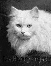 The History Project: White Friar