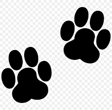paw dog footprint printing cat png 800x800px paw animal animal track black black and white download paw dog footprint printing cat png