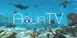 The group formed in 1989 and achieved crossover success around the globe in the late. Aqua Tv Nintendo Switch Download Software Spiele Nintendo