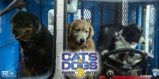 Paws unite.720p.x264.yify.mp4, cats & dogs 3: Giveaway Cats Dogs 3 Paws Unite Digital Movie The Bark
