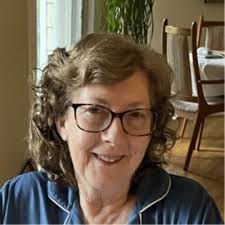 The Clinical Anatomy of the Vascular System