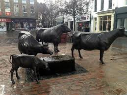 Pin On Jersey Channel Isles