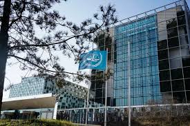 Dutch bar association scolds attorney who harassed IDF soldiers, 'settlers' 