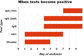 Dengue Fever Wikipedia