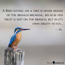 A person who is nice. A Bird Sitting On A Tree Quotes Writings By Rv Yourquote