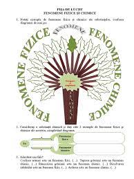 Fenomene fizice si chimice grupa 3 valean iulia pasca maria domnita pop delia pasca cristina ionela. F L Fenomene Fizice Si Chimice
