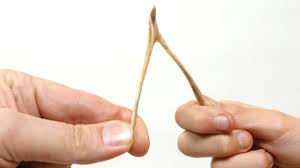 A wishbone is a forked bone in birds. Why Do We Wish On The Turkey S Wishbone Mental Floss