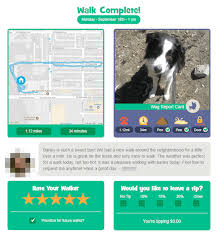 Like with a lot of these gig economy apps, signing up to be a wag walker doesn't take much time. Rover Vs Wag Which Dog Walking App Leads The Pack