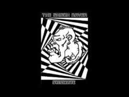 Image result for shockraver