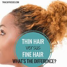 Thin Hair Vs Fine Hair What S The Difference Fine Natural Hair Thin Natural Hair Fine Hair