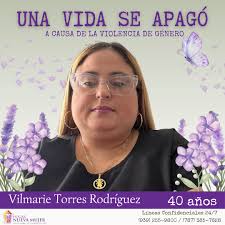 Vilmarie Rivera, Presidenta de la Red de Albergues de Violencia Doméstica  sostuvo: “La premisa no es con mala intención, pero no sabemos qué  controles de seguridad se van a implantar, qué personas