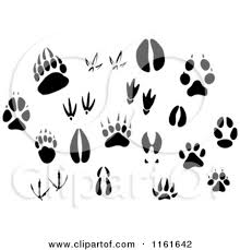 Animal Tracks Animal Footprints Animal Tracks Animal Silhouette