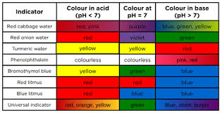 Indicators Acids Bases And The Ph Value Siyavula