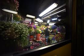 We have been proudly serving columbia and the surrounding areas for 16 years. Flower Sales Bloom Ahead Of Valentine S Day Local Columbiamissourian Com