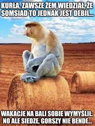 images?q=tbn:ANd9GcRo8JuhKGfnhn0m8NeJMVQ