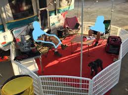 Maybe you would like to learn more about one of these? Camping Pets Picture Of Santee Lakes Recreation Preserve Tripadvisor