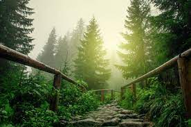 Information Natural State Burial Association