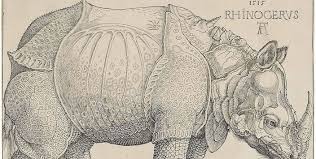 El 20 de mayo de 1515 llegó un rinoceronte indio a lisboa desde el extremo oriente.a principios de 1514 el animal había sido regalado a afonso de albuquerque, gobernador de la india portuguesa, por el sultán muzafar ii, que gobernaba khambhat (actual guyarat), como parte de un intercambio de regalos diplomáticos. Universo Animal Ilustrado El Rinoceronte Y El Unicornio Parte 1 Biblioteca Patrimonial Recoleta Dominica