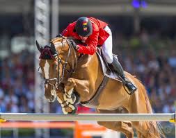 Josephus (in leven) verlooy in myheritage family trees (tignol web site). Vader Jos Verlooy Koopt Cornetboy Horses Nl