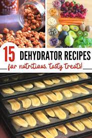Dried Fruit More Tasty Food Dehydrator Recipes Vegetable Snacks Dehydrated Vegetables Food Dehydration